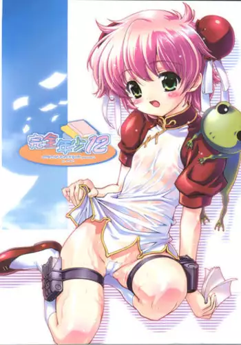 (C66) [Studio Rakkyou (Ashisyun, Takase Yuu)] Kanzen Nenshou 12 (Read or Die)