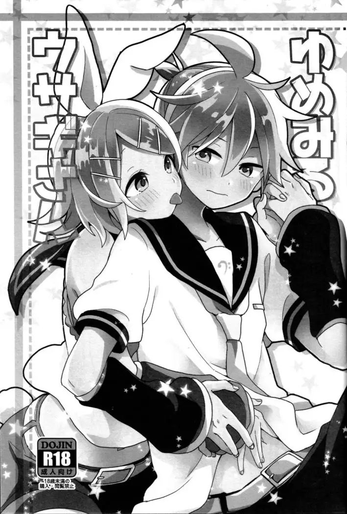 Yume Miru Usagi-san | Dream Seeing Rabbit-san