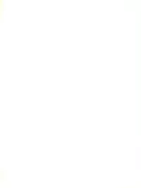 (C50) [Femme Enfant (Sibusawa Eiki)] Lyrical Angel (Nurse Angel Ririka SOS)