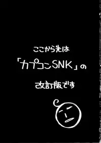 [P-collection]The King Of Fighters 2001