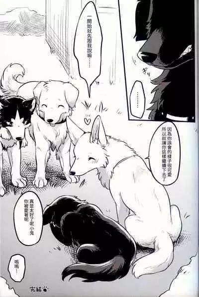 Hakoniwa Jealousy | 箱庭之妒