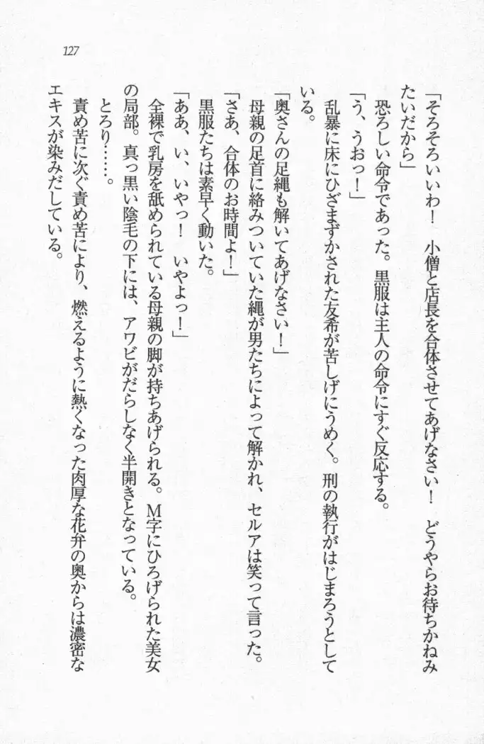 メイド喫茶 猫の隠れ家