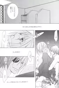 [SCOOP (Kain)] anthurium (d.gray-man)