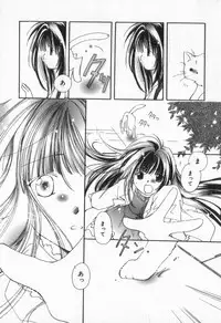 [Nyan] from Happiness