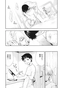 (C77) [Hapoi-dokoro (Okazaki Takeshi)] Bluebird (Neon Genesis Evangelion)