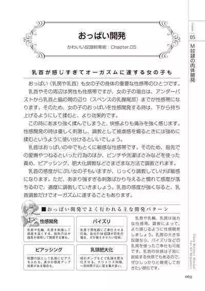 Zero kara Hajimeru SM Manual Kawaii Dorei Shiikujutsu