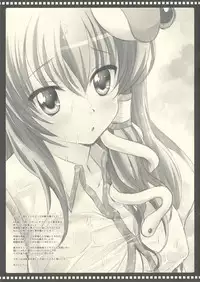 (C77) [Areyouhappy? (Asai Ichiko)] Sana Plus! (Touhou Project)