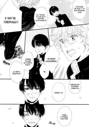 The Daydreamer Falls in Love