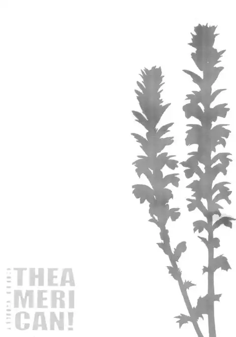 CUTE GIRL! THE AMERICAN! =Dark Mac + CW=