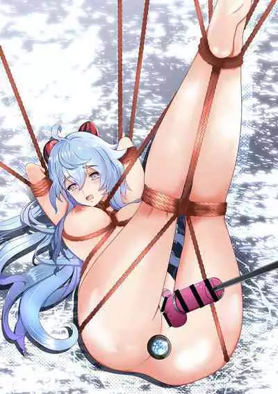 Genshin Impact - Single Figure Difference Collection