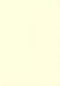 (C62) [Houkago Paradise (Sasorigatame)] Tin Tin Town! (Digimon Frontier)