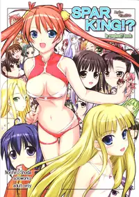 [OBSIDIAN ORDER] SPARKING! ( Mahou Sensei Negima )