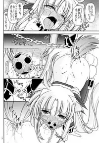 (C83) [EINSATZ GRUPPE (Charlie Nishinaka)] DOG FATE (Mahou Shoujo Lyrical Nanoha)