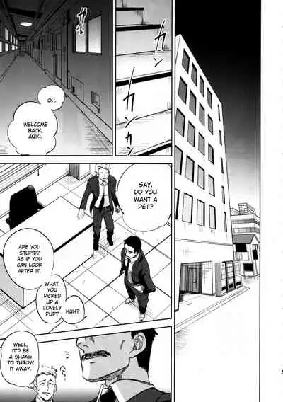 Yojo-han Bunny Part 3