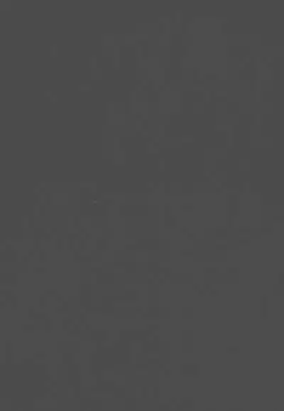 Japanese Preteen Suite