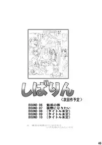 [Rojiurakan] Shibarin