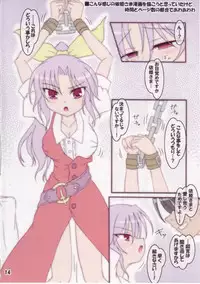 (Reitaisai 6) [Schwester (Inasaki Shirau)] Rollin 31 (Touhou Project)