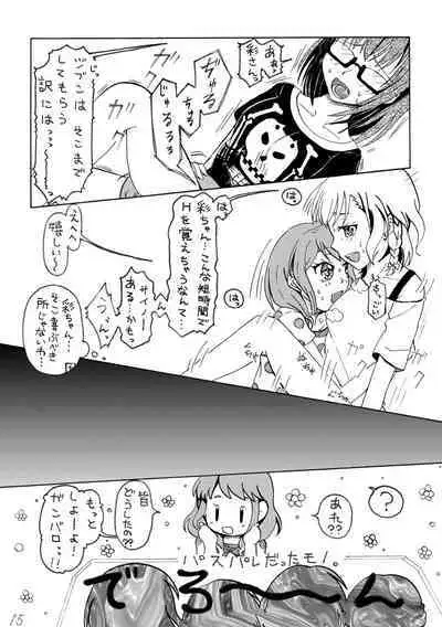 Irodori Midori Maruyama Aya