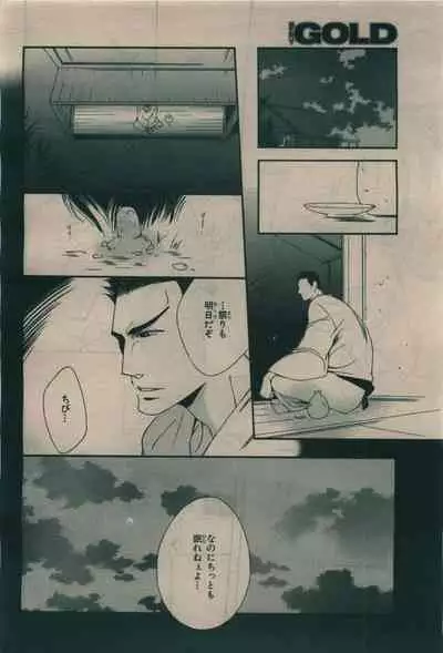 BE・BOY GOLD 2010-02