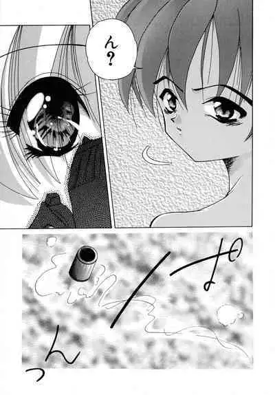 Aigan Bishoujo-teki Seikatsu no Susume