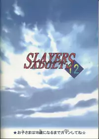 [Ginmomodou (Mita Satomi)] SLAYERS ADULT 12 (Slayers)