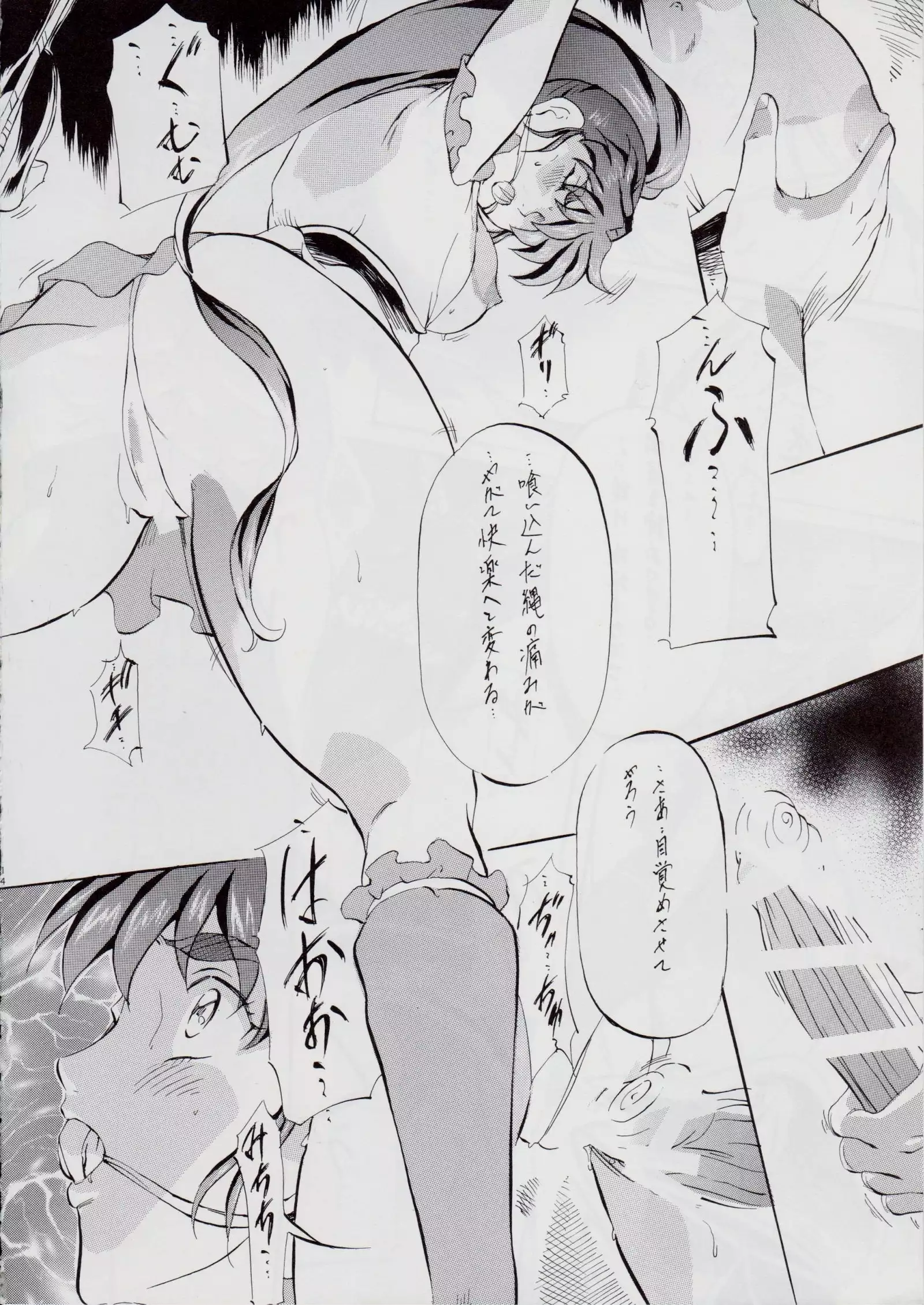 Ai & Mai DSII