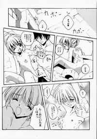 (CR28) [RYU-SEKI-DO (Nagare Hyo-go)] Geschwister (Sister Princess)