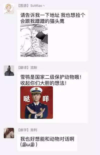 Fukurou no Koiwazurai | 猫头鹰的相思病