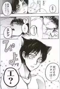 (C86) [Onjire (Tamy)] ONGRE2013 (Shingeki no Kyojin)