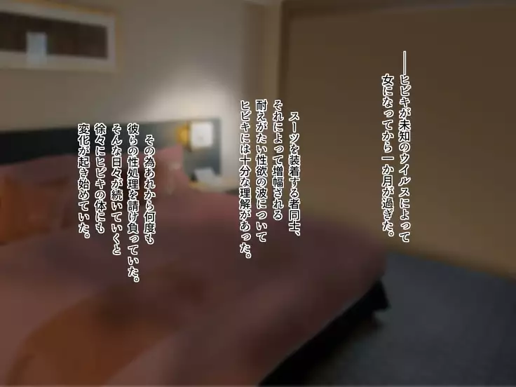 TS Sentai Hero Hibiki