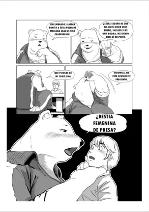 furry de todo