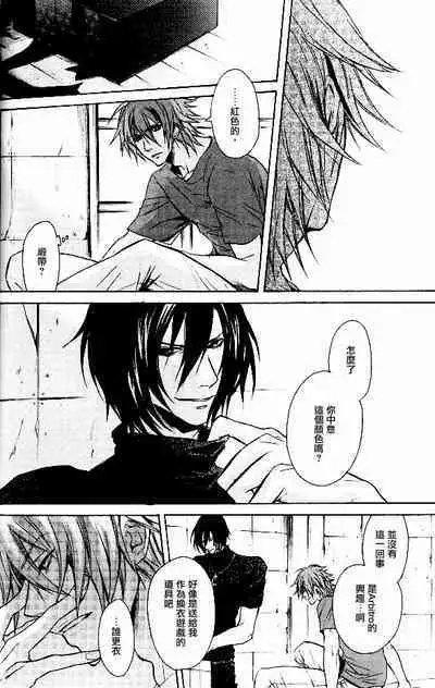 RAGDOLL | 破碎玩偶