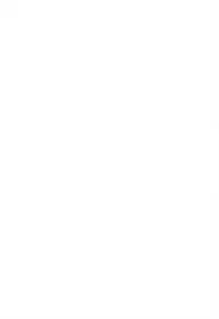 (COMIC1☆4) [KINOKONOMI (Kino)] Imouto Itazura Flan-chan (Touhou Project)