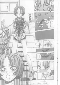 [Persona] Inju Nyuumon - Gate of Cage