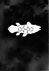 (C92) [Rairaku Jinja (Koishi Chikasa)] Blue Kudryavka II C16H10N2O2