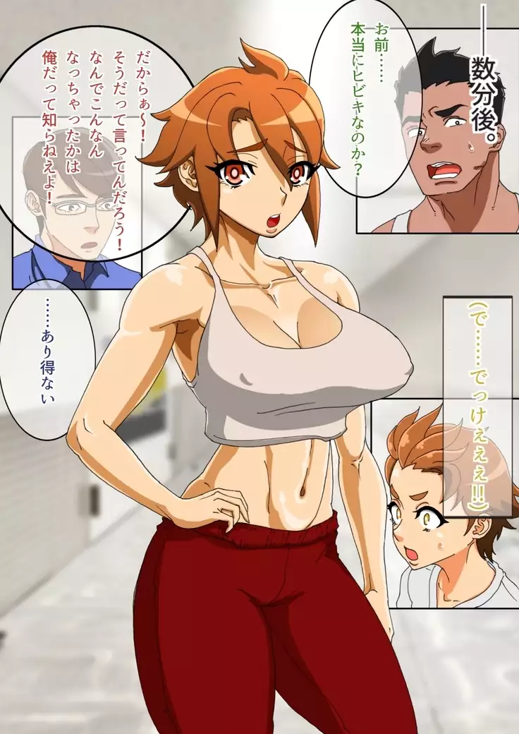 TS Sentai Hero Hibiki