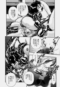 [Wing Bird] Tsumapp x Tsumapp