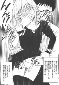 [Crimson (Carmine)] Kyouiku Soushuuhen (Black Cat)