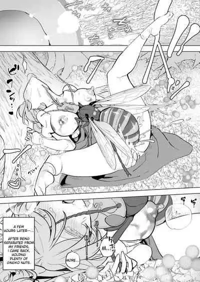 hachi × ginnan hiroi no musume