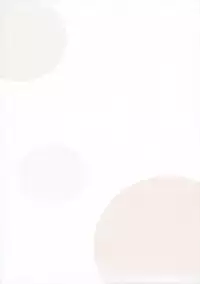 (C69) [Takotakotei (Takos)] Maruyaki Zukushi (Zoids Genesis)