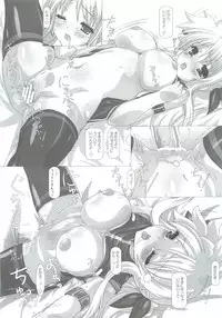 (SC57) [Testa Kitchen (Testa)] Prominence/Providence (Mahou Shoujo Lyrical Nanoha)