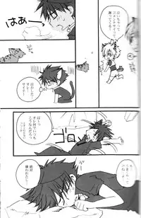 Peach Drop- Arco Iris