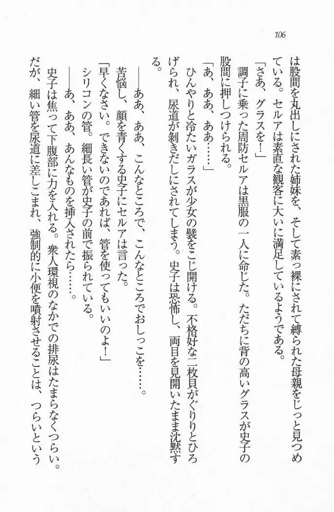 メイド喫茶 猫の隠れ家