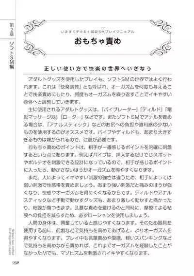 いますぐデキる 図説SMプレイマニュアル