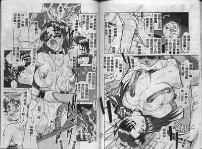 Operation Daisakusen