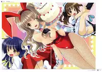 Azuma Yuki - four colors (Complete Ver.)