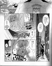 CARNELIAN - Reen Kadorer 1-3