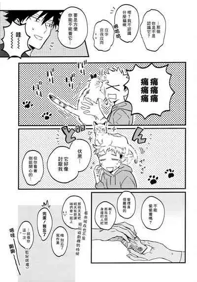 (Yougen Kinkyuu SUMMER 2021) [CANARY (bi)] FUSHI TO NEKO (Jujutsu Kaisen) [Chinese]