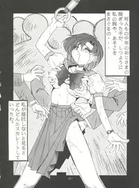 (C46) [PUSSY-CAT (Oono Tetsuya)] Black Cat (Akazukin Chacha, Sailor Moon)