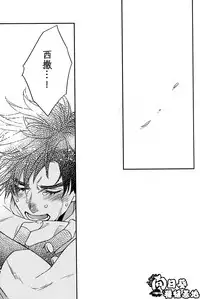 [JOJO][JC]Stelle[CN]